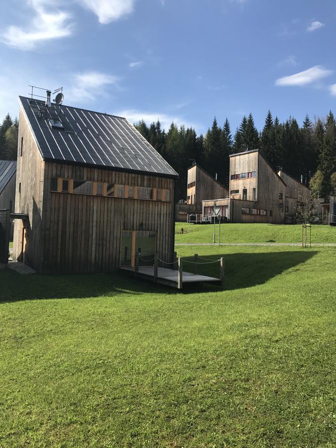 Вилла Chalet6Harrachov Se Saunou Экстерьер фото