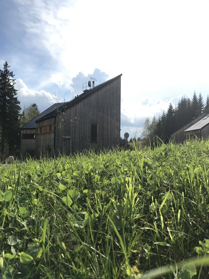 Вилла Chalet6Harrachov Se Saunou Экстерьер фото