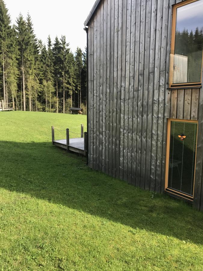 Вилла Chalet6Harrachov Se Saunou Экстерьер фото